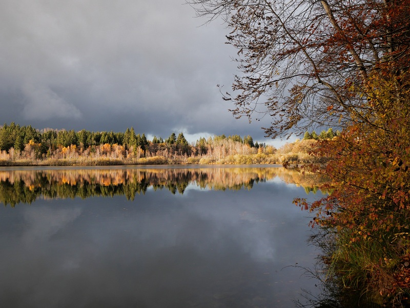 Que faire dans le Jura en automne ? Le lac de Bonlieu Que faire dans le Jura en automne ? Le lac de Bonlieu