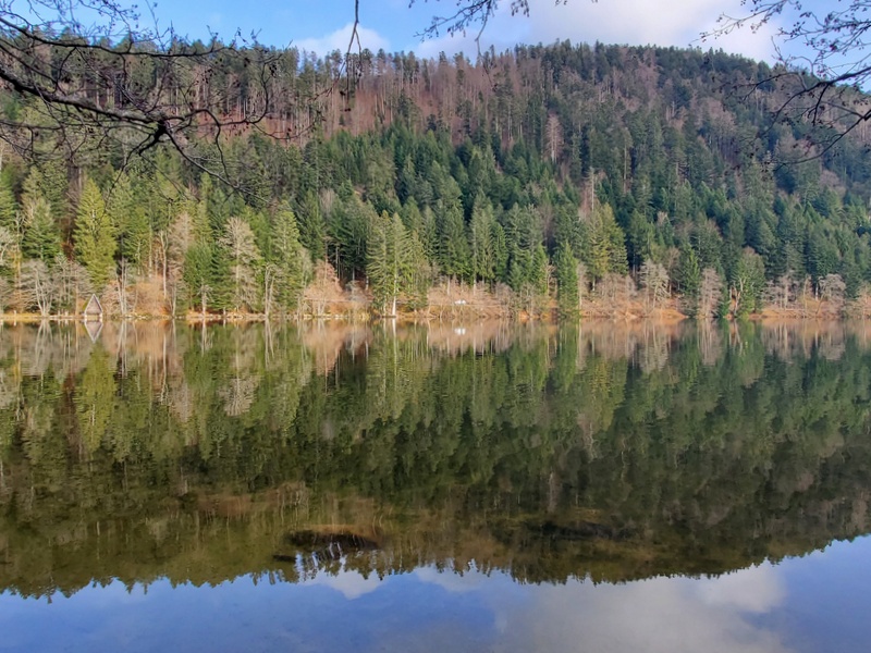 Que faire dans les Vosges ? Lac de Longemer Que faire dans les Vosges ? Lac de Longemer