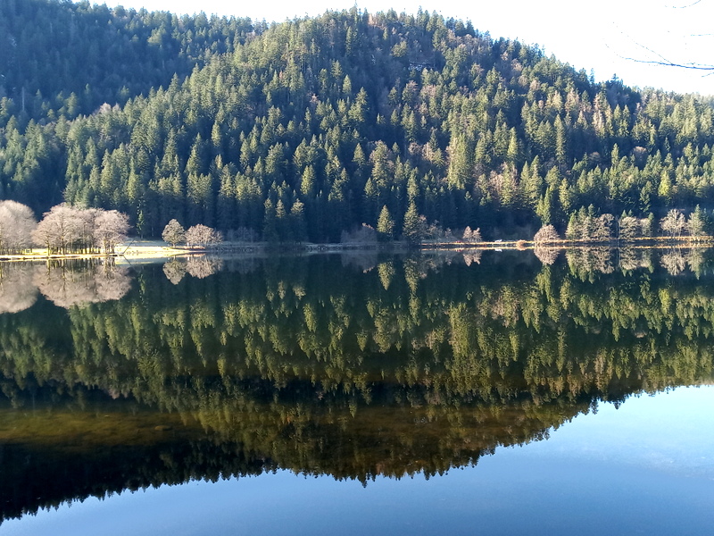 Que faire dans les Vosges ? Lac de Longemer Que faire dans les Vosges ? Lac de Longemer
