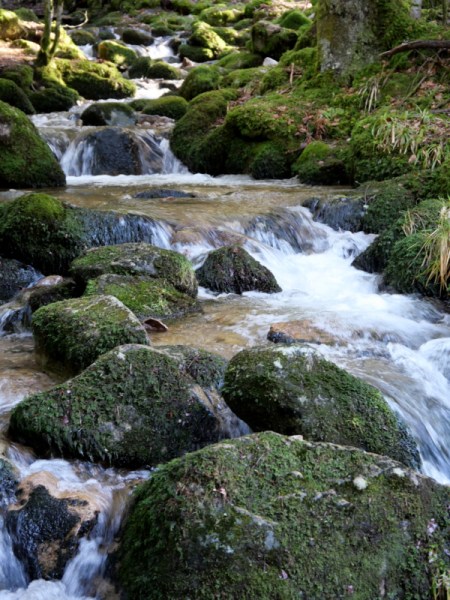 Que faire dans les Vosges ? Lac de Retournemer Que faire dans les Vosges ? Lac de Retournemer