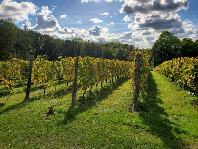 Domaine Bois Brillant 77 Domaine Bois Brillant 77