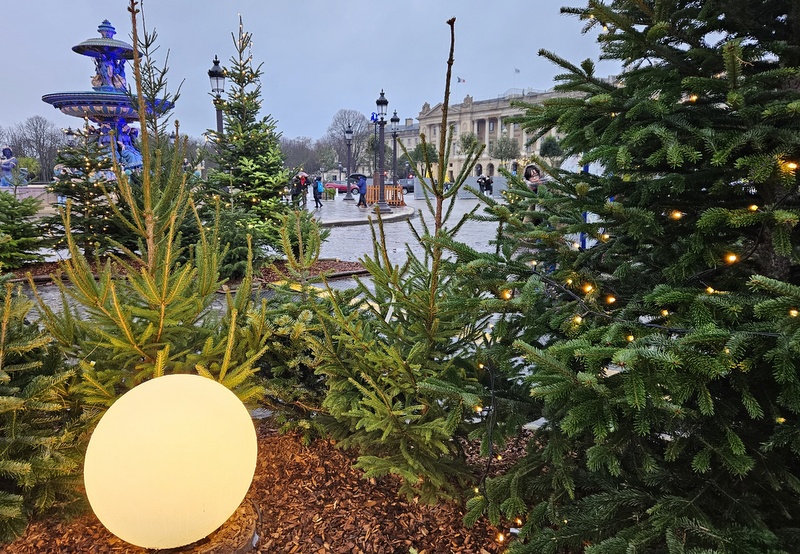 Noël à Paris : la Place de la Concorde Noël à Paris : la Place de la Concorde