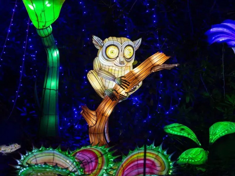 Thoiry ZooSafari et Lumières Sauvages Thoiry ZooSafari et Lumières Sauvages