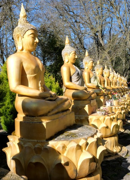 Wat Thammathip Wat Thammathip