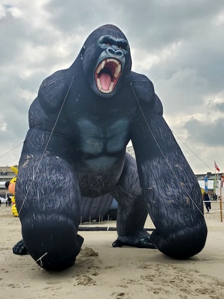 King Kong à Berck-sur-Mer King Kong à Berck-sur-Mer