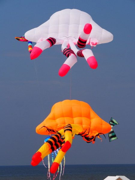 Cerfs volants à Berck sur Mer Cerfs volants à Berck sur Mer