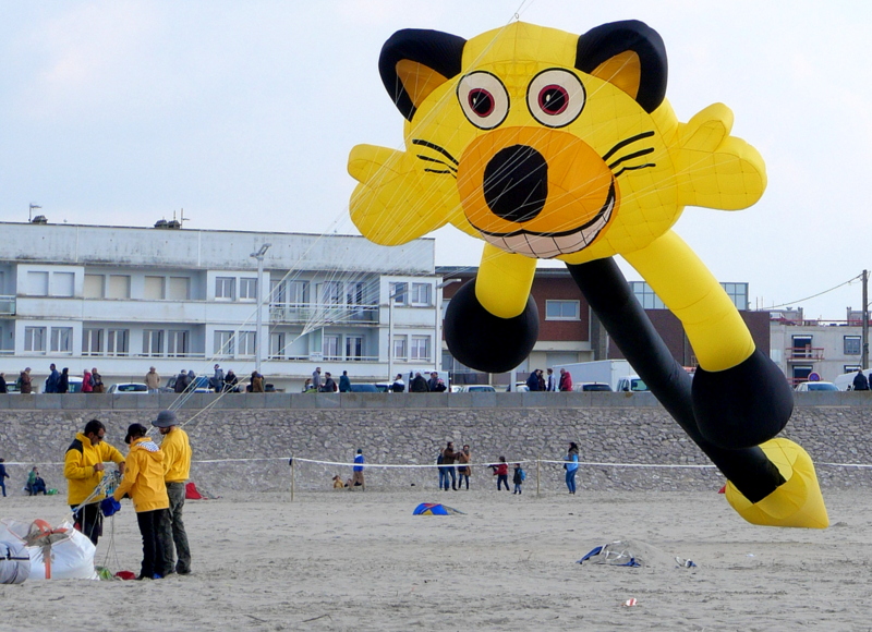 Cerfs volants à Berck plage Cerfs volants à Berck plage