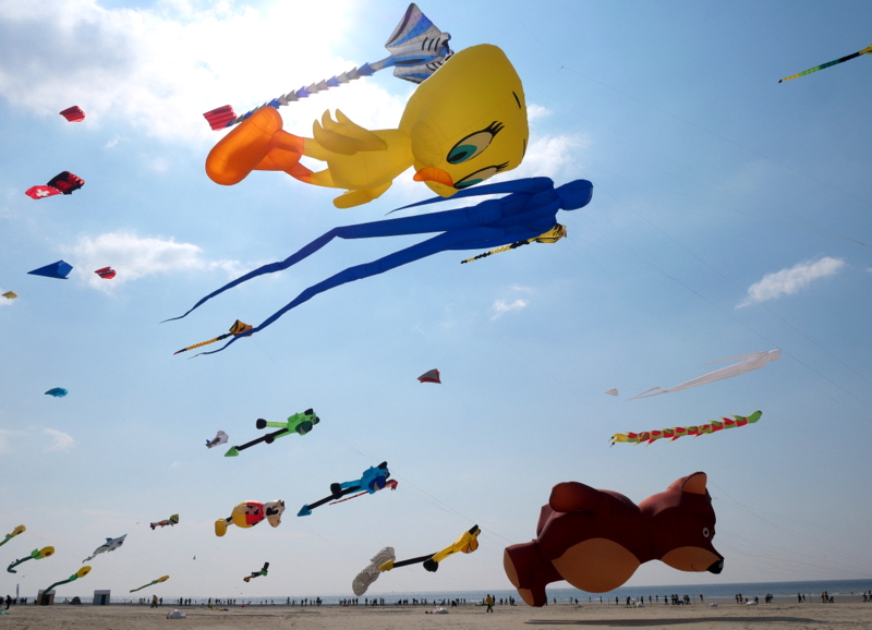 Cerfs volants à Berck sur Mer Cerfs volants à Berck sur Mer