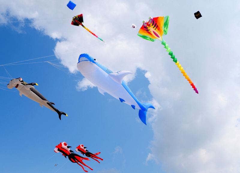 Participer aux ateliers cerfs volants Participer aux ateliers cerfs volants