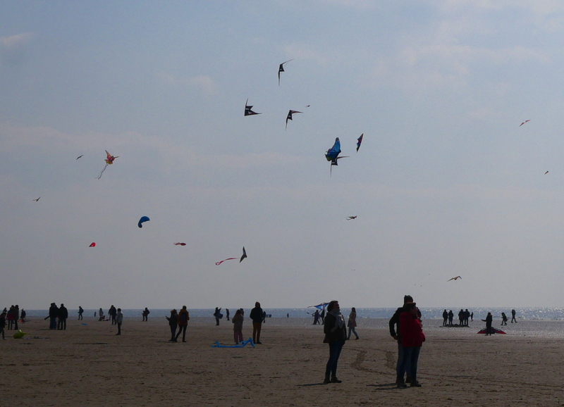 Participer aux ateliers cerfs volants Participer aux ateliers cerfs volants