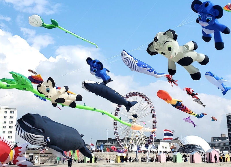 Cerfs volants à Berck sur Mer Cerfs volants à Berck sur Mer