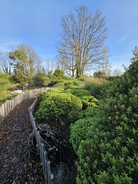 Les jardins suspendus Les jardins suspendus