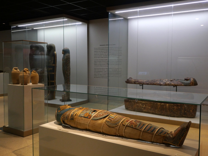 Le Musée de Tessé - Galerie égyptienne Le Musée de Tessé - Galerie égyptienne