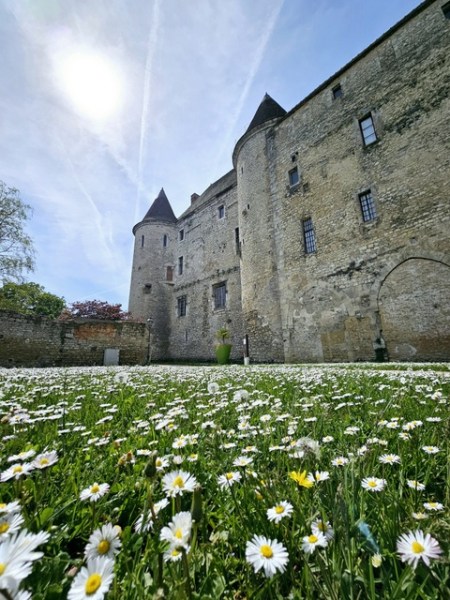 Château de Nemours Château de Nemours