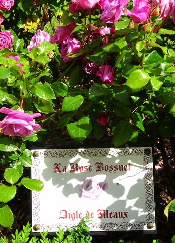 Le jardin Bossuet Le jardin Bossuet