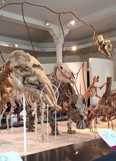 Que faire à New York ? Visiter les musées Que faire à New York ? Visiter les musées