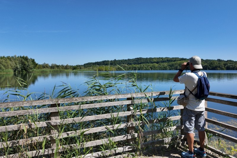 Randonnées en Seine-et-Marne Randonnées en Seine-et-Marne