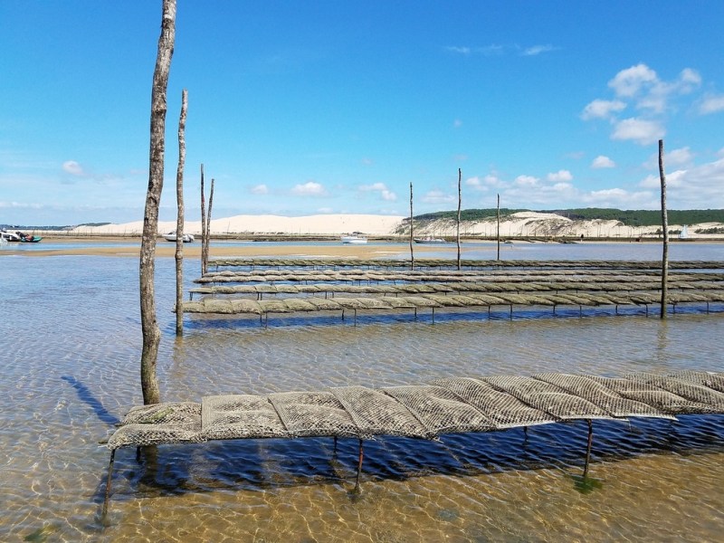 A faire en Gironde : Le Cap Ferret A faire en Gironde : Le Cap Ferret