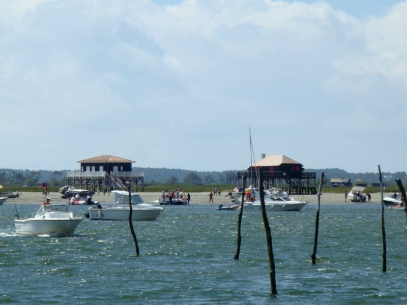 L’île aux Oiseaux L’île aux Oiseaux