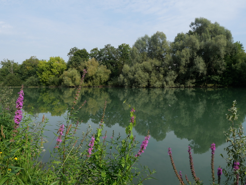 Les bords de Marne Les bords de Marne