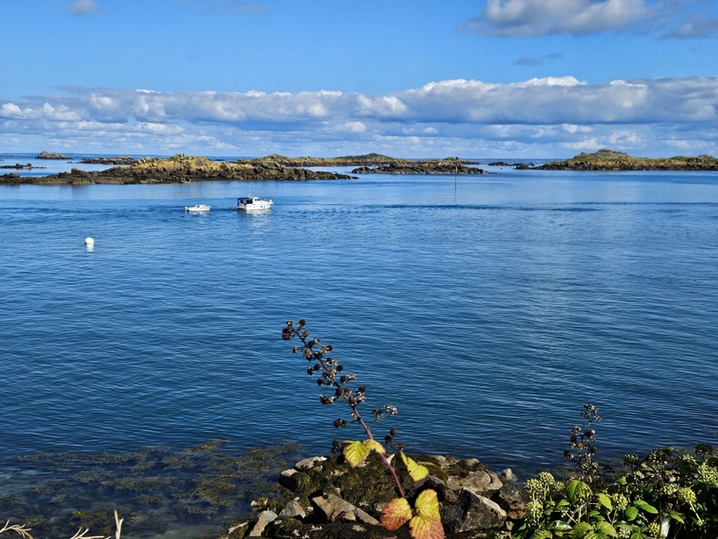 Les îles Chausey Les îles Chausey