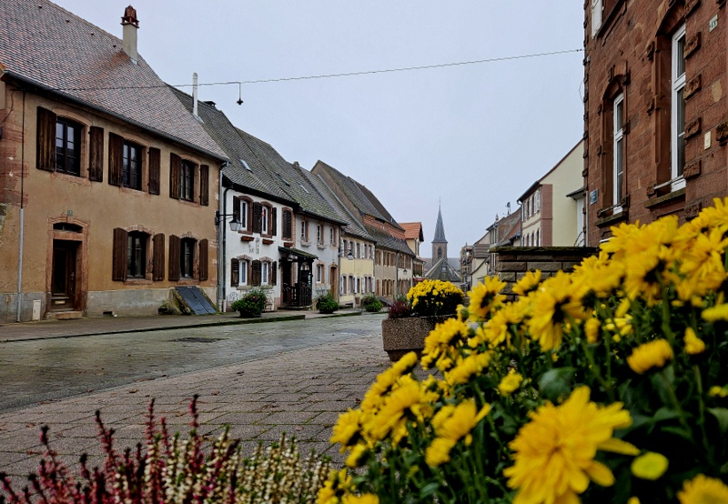 La Petite Pierre - visiter la ville La Petite Pierre - visiter la ville