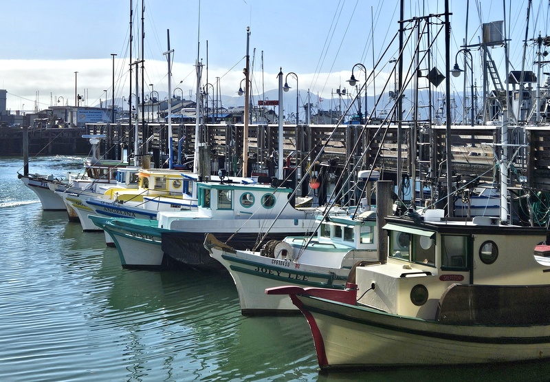 San Francisco - Pier 39 San Francisco - Pier 39