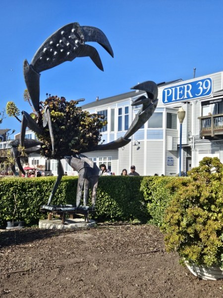 San Francisco - Pier 39 San Francisco - Pier 39