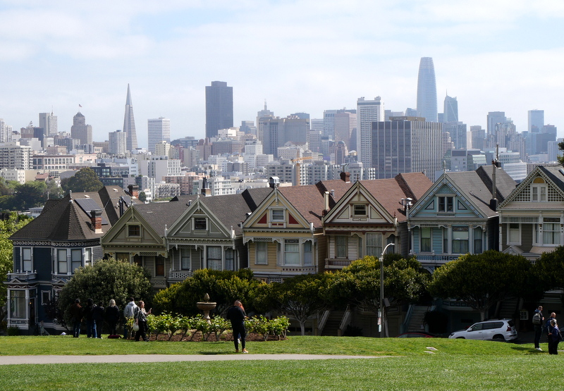 Painted Ladies Painted Ladies