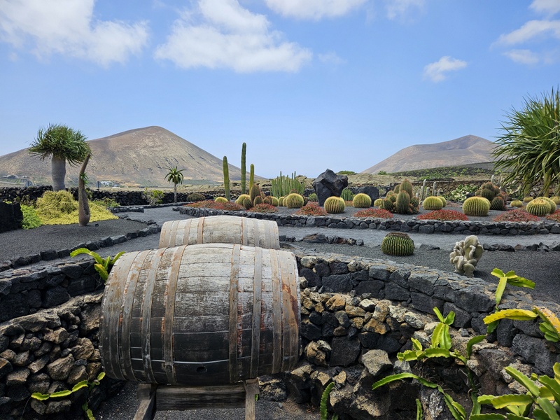 Bodegas de La Geria Lanzarote Bodegas de La Geria Lanzarote