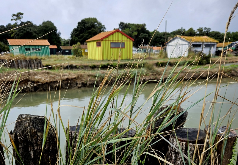 Que faire sur l'île d'Oléron en 3 jours ? Que faire sur l'île d'Oléron en 3 jours ?