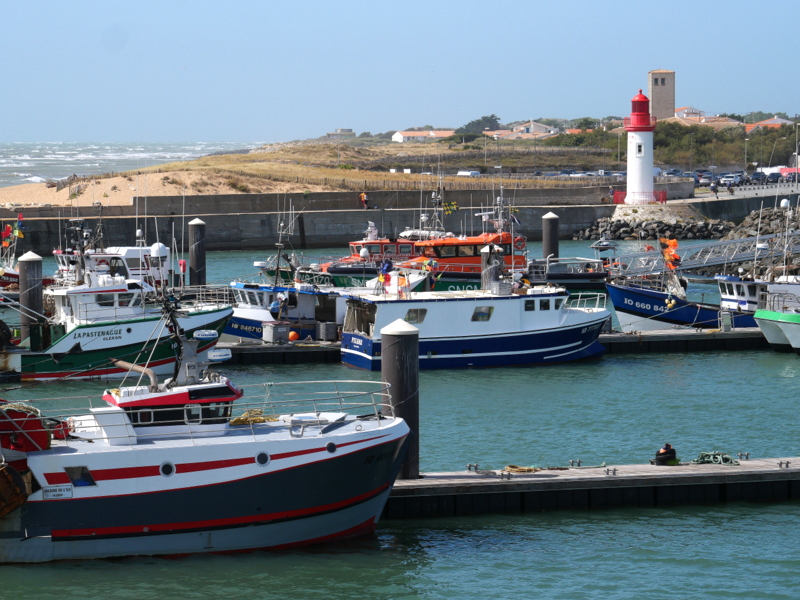 Port de pêche de La Cotinière Port de pêche de La Cotinière