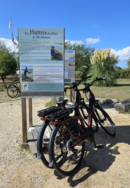 L'île Madame à vélo L'île Madame à vélo