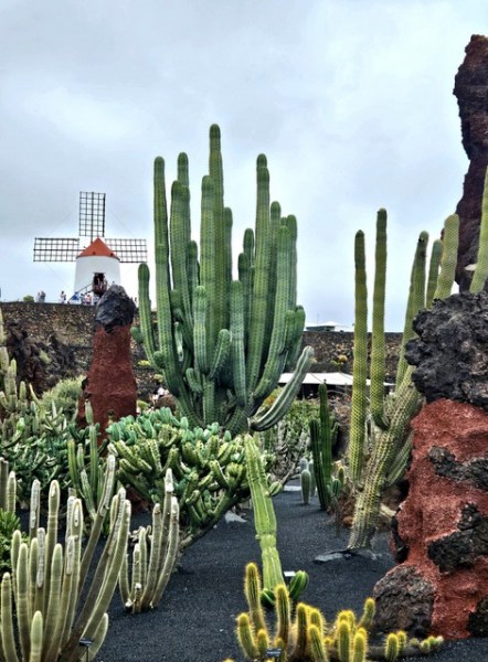 Jardin de Cactus - Lanzarote Jardin de Cactus - Lanzarote