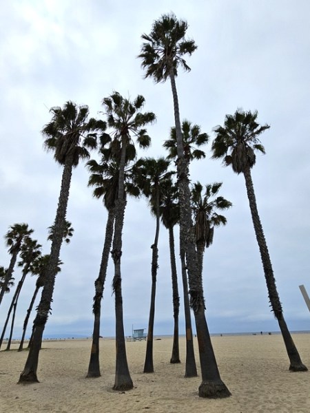 Santa Monica Santa Monica