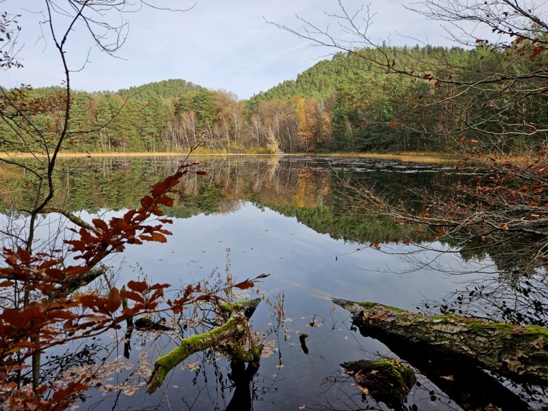 Etang de Waldeck Etang de Waldeck