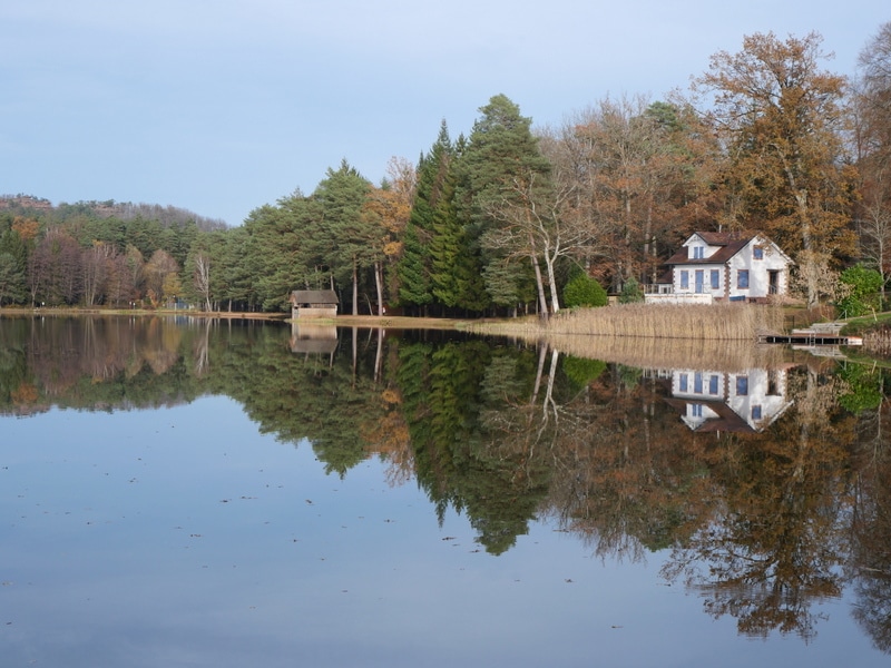 Etang de Hanau Etang de Hanau