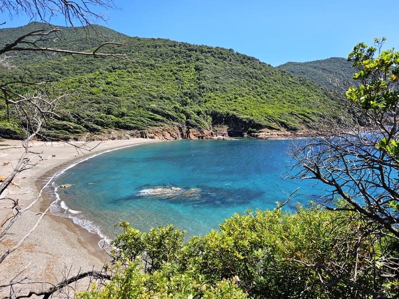 Plage de Tuara Plage de Tuara- Golfe de Porto