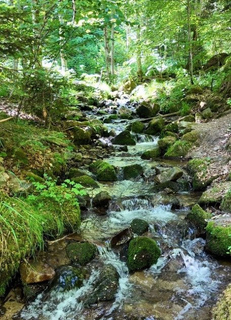 Cascade du Hohwald - Alsace