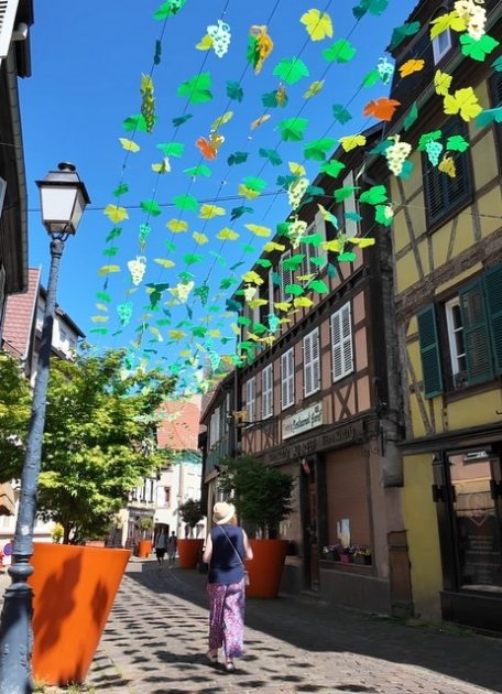 Barr, capitale viticole de l'Alsace