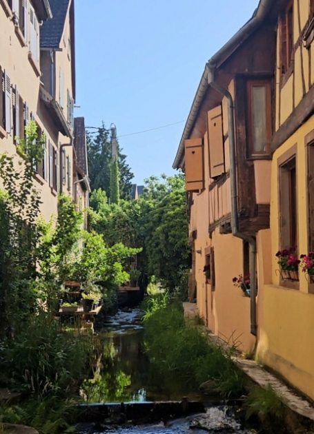Barr, Alsace