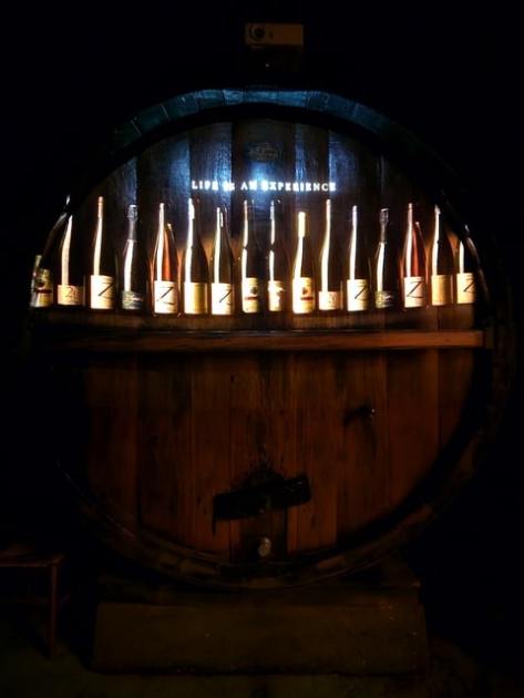 Vins Zeyssolf - Visite immersive