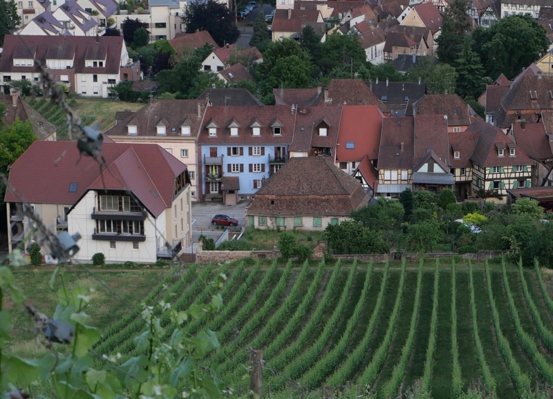 Vignobles autour de Barr